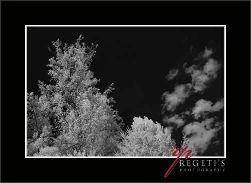 Infrared Image with Nikon D70