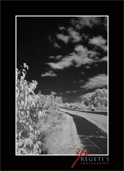 Infrared Image with Nikon D70
