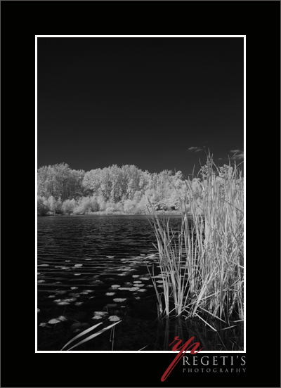 Infrared Image with Nikon D70