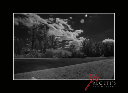 Infrared Image with Nikon D70