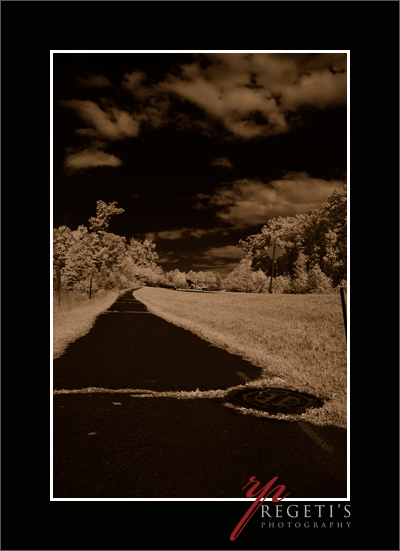 Infrared Image with Nikon D70