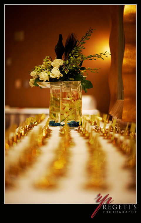 Indian Wedding at Hotel Sheraton, Arlington Virginia