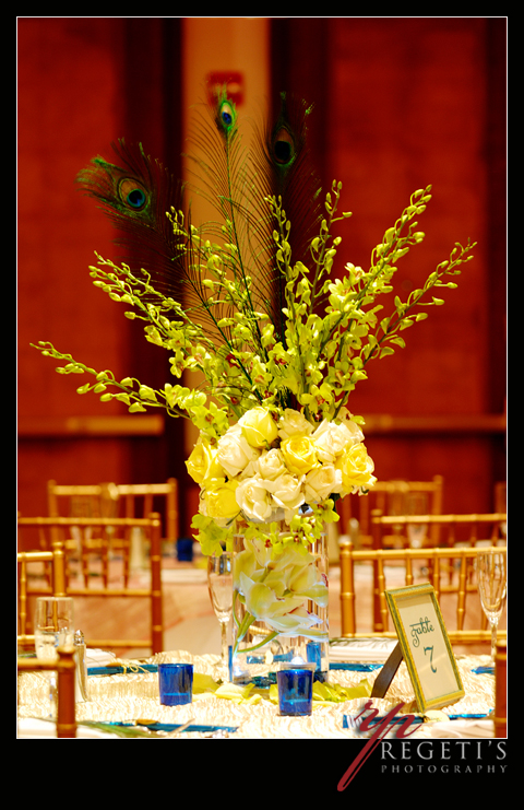 Indian Wedding at Hotel Sheraton, Arlington Virginia